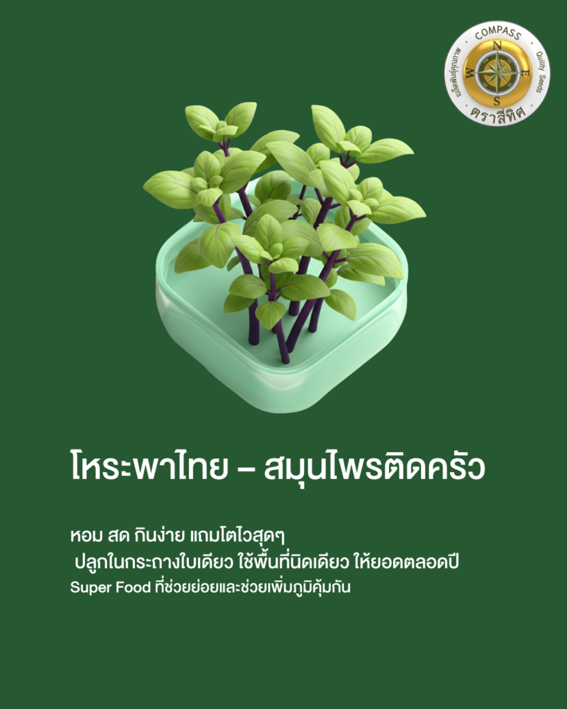 เมล็ดพันธุ์โหระพาไทย สมุนไพรติดครัว ตราสี่ทิศ